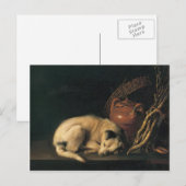 Gerrit Dou - Een slapende hond met Terracotta Pot Briefkaart (Voorkant / Achterkant)
