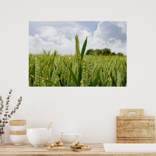 gersteoogst poster (Keuken)