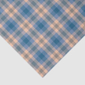 Geruit Plaid Beige Blauw Grijs en Perzik Tissuepapier (Detail)