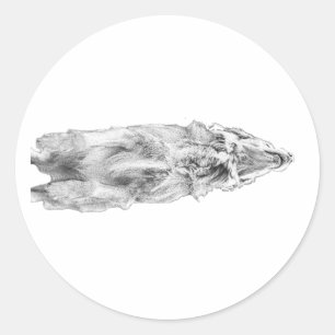 Geschaduwde retriever, zachte blik ronde sticker