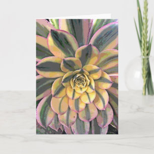 Geschakeerde Aeonium Kaart