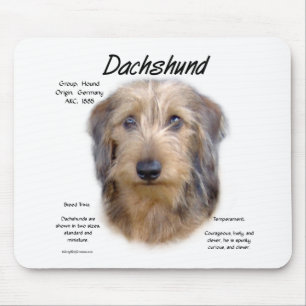 Geschiedenis Dachshund (wirehair) Muismat