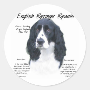 Geschiedenis Engels Springer Spaniel (blk) Ronde Sticker