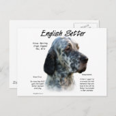 Geschiedenis Engelse setter Briefkaart (Voorkant / Achterkant)