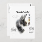 Geschiedenis van Bearded Collie; Love Bearded Coll Briefkaart (Voorkant / Achterkant)