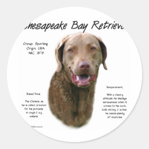 Geschiedenis van Chesapeake Bay Retriever Ronde Sticker