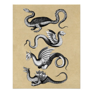 Geschiedenis van Dragons Rustic Perfect Poster