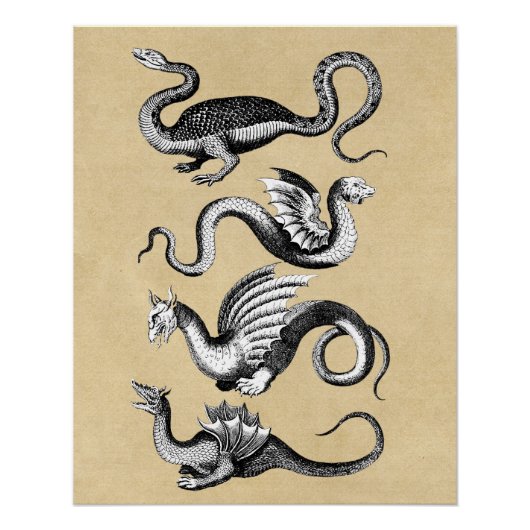 Geschiedenis van Dragons Rustic Perfect Poster (Voorkant)