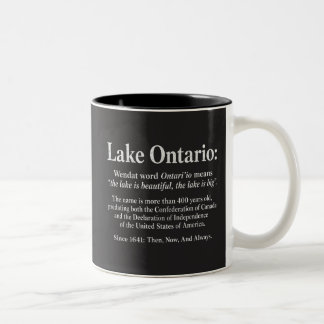 Geschiedenis van het Ontariomeer Wendat Definitie Tweekleurige Koffiemok