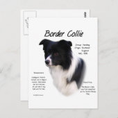 Geschiedenis van randkolonie briefkaart (Voorkant / Achterkant)