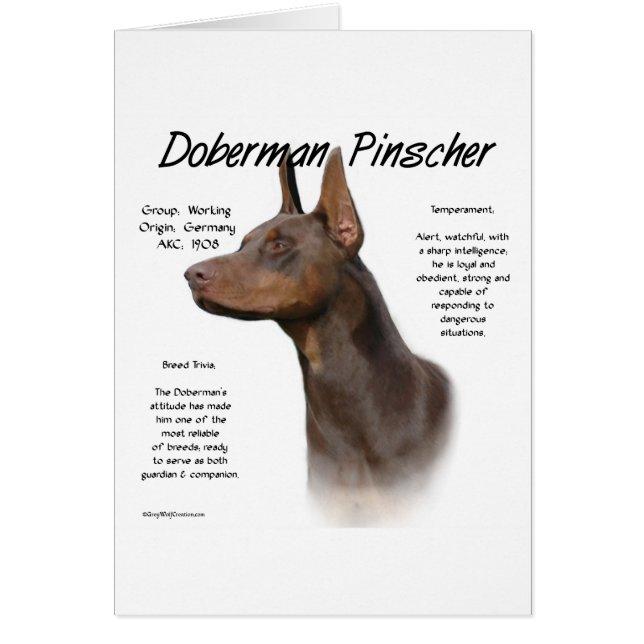 Geschiedenis van Red Doberman (Voorkant)