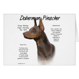 Geschiedenis van Red Doberman