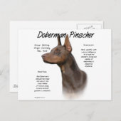 Geschiedenis van Red Doberman Briefkaart (Voorkant / Achterkant)