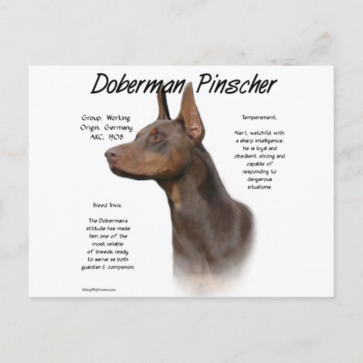 Geschiedenis van Red Doberman Briefkaart (Voorkant)