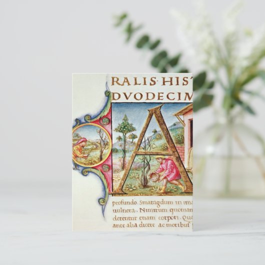 Geschiedeniseerd initiaal "A" met afbeelding Briefkaart (Staand voorkant)