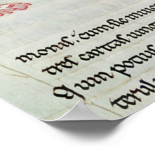 Geschiedeniseerd initiaal "N" Poster (Hoek)