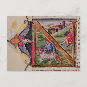 Geschiedeniseerd initiaal "N" voor schapen Briefkaart