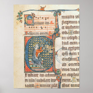 Geschiedeniseerd initiaal waarin koning David spee Poster