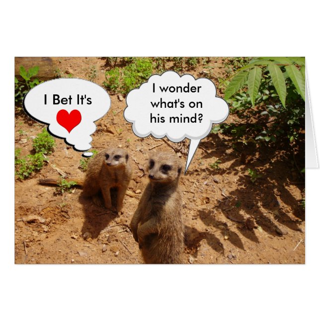 Geschikt en aanpasbaar (Voorkant Horizontaal)