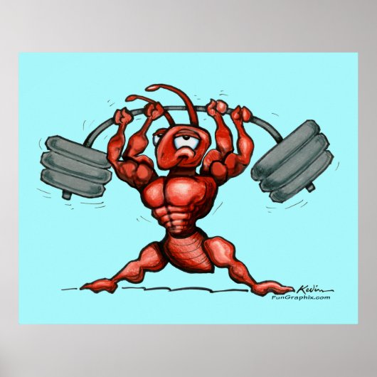 Geschiktheid Poster (Voorkant)