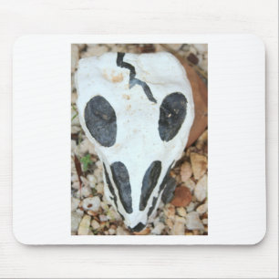 geschilde schedel muismat