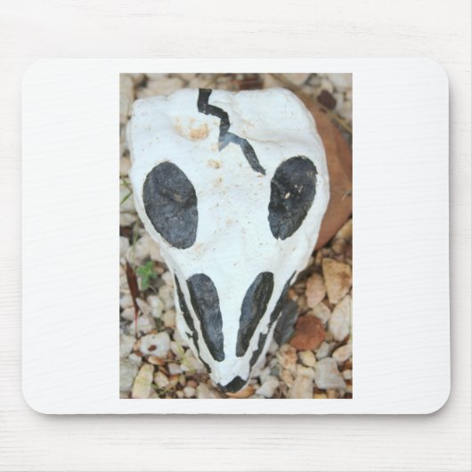 geschilde schedel muismat (Voorkant)