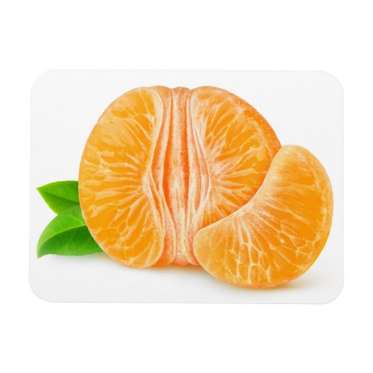 Geschilde tangerine magneet (Horizontaal)