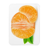 Geschilde tangerine magneet (Verticaal)