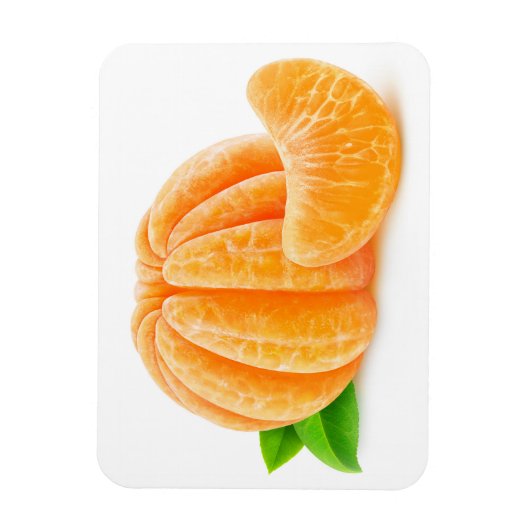 Geschilde tangerine magneet (Verticaal)