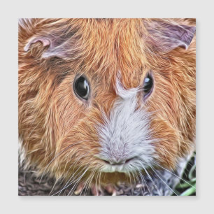 geschilderd cavia 5