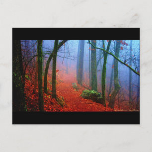 Geschilderd herfstblauw bos mist briefkaart