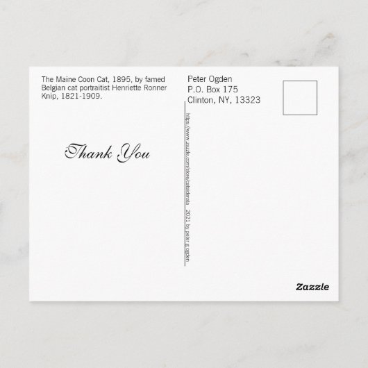 Geschilderd portret van een antieke Maine Coon kat Briefkaart (Achterkant)