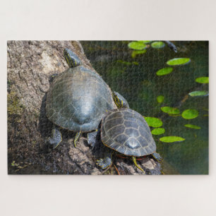 Geschilderd Schildpad Paar Legpuzzel