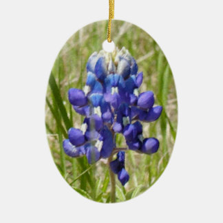 Geschilderd Texas Bluebonnet Ornament