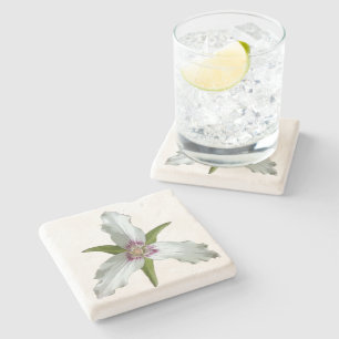 Geschilderd Trillium Spring Wildflower Stone Onder Stenen Onderzetter