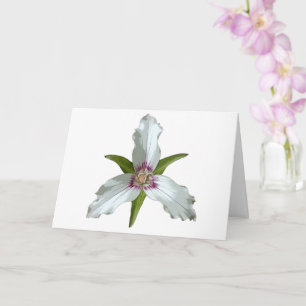 Geschilderd Trillium Spring Wildflower Wenskaart Kaart