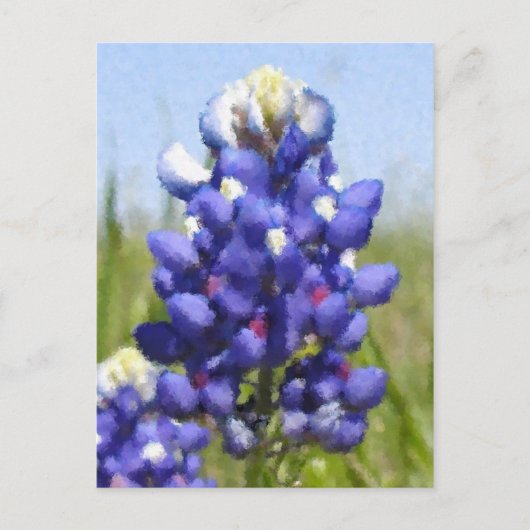 "Geschilderde" Bluebonnet Briefkaart (Voorkant)
