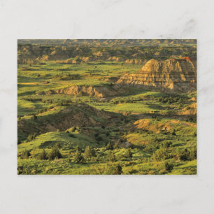 Geschilderde canyon na storm in Theodore Roosevelt Briefkaart