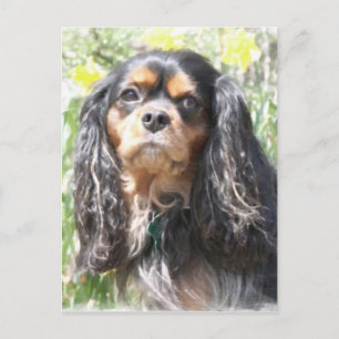 Geschilderde Cavalier King Charles Spaniel Briefkaart