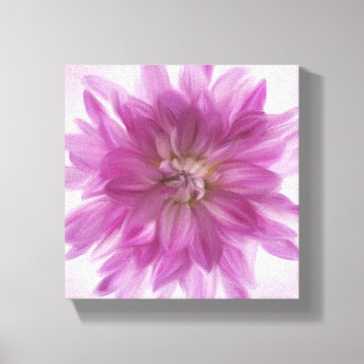 Geschilderde Dahlia kunst - Fuchsia Canvas Afdruk (Voorkant)