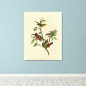Geschilderde Finch (Bunting) Audubon's vogels in A Canvas Afdruk (Insitu (Houten vloer))