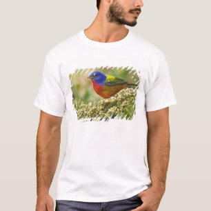 Geschilderde Gors T-shirt