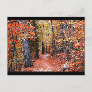 Geschilderde Herfstbos Wandelpad Watercolor Cadeau Briefkaart