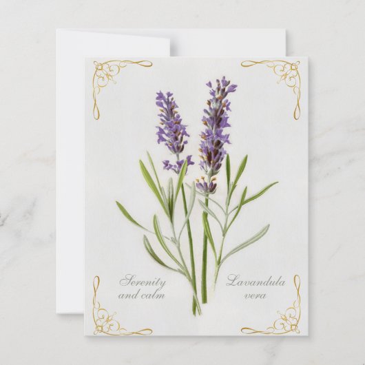 Geschilderde Lavandula Vera sereniteit en rust (Voorkant)