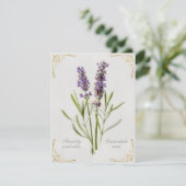 Geschilderde Lavandula Vera sereniteit en rust (Staand voorkant)