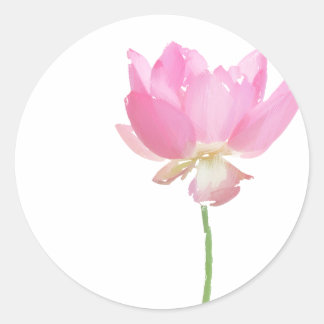 Geschilderde Roze Lotus stickers