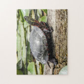 Geschilderde Schildpad Legpuzzel (Verticaal)