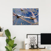 Geschilderde schildpadden (Chrysemys picta) Poster (Thuiskantoor)