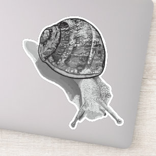 Geschilderde Snail Greyscale Sticker