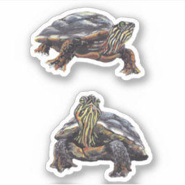 Geschilderde Turtle Vinyl Sticker
